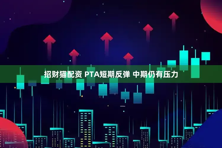 招财猫配资 PTA短期反弹 中期仍有压力
