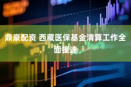 鼎豪配资 西藏医保基金清算工作全面提速